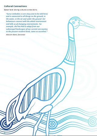Brolga - a culturally significant entity