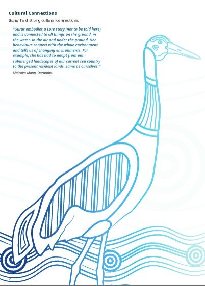 Brolga - a culturally significant entity