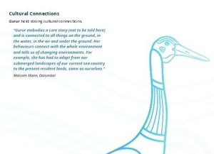 Brolga - a culturally significant entity