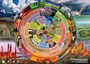 Tiwi calendar